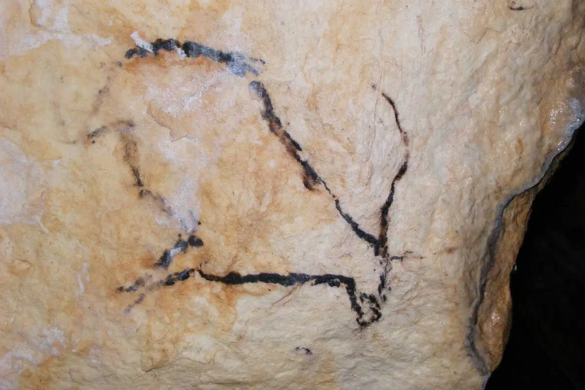 Peintures rupestres des grottes de Nerja, vieilles de plus de 42 000 ans